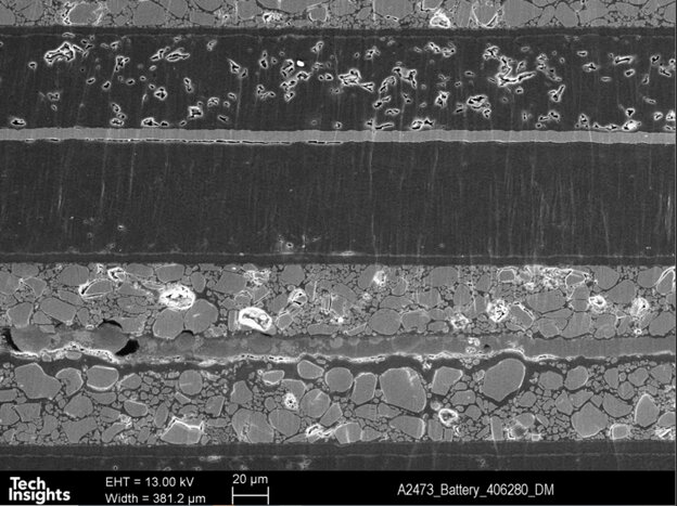 图7详细细胞层叠钙苹果观察截面系列7(41毫米)的电池。
